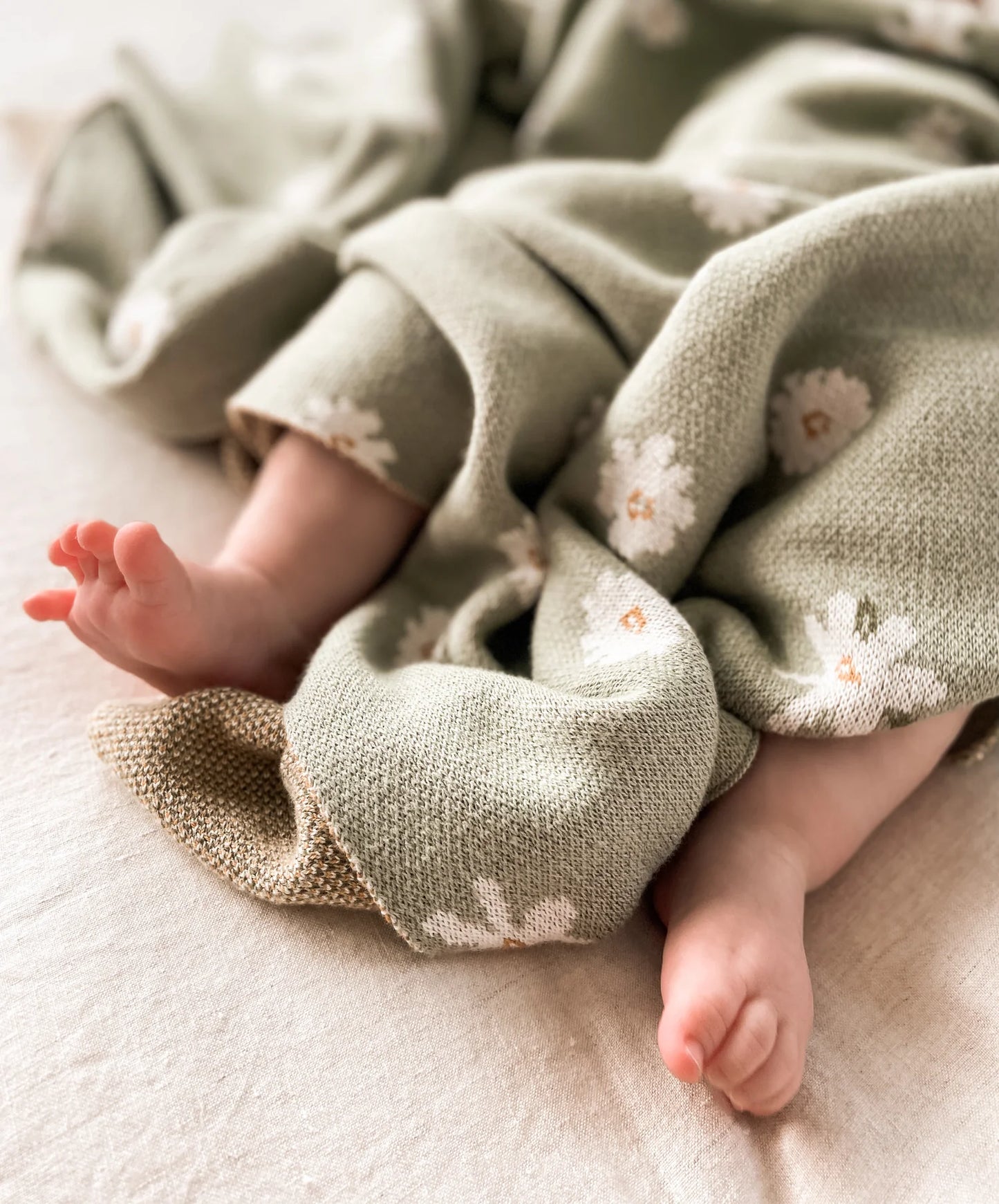 Daisy Blanket - Thyme