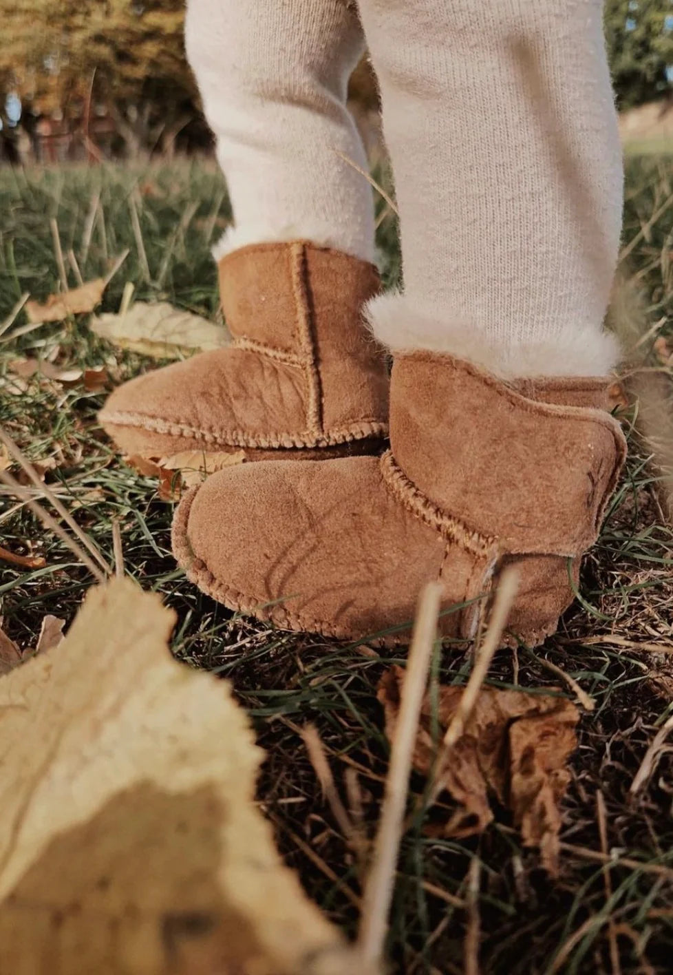 Platinum Sheepskin Bootie - Chestnut