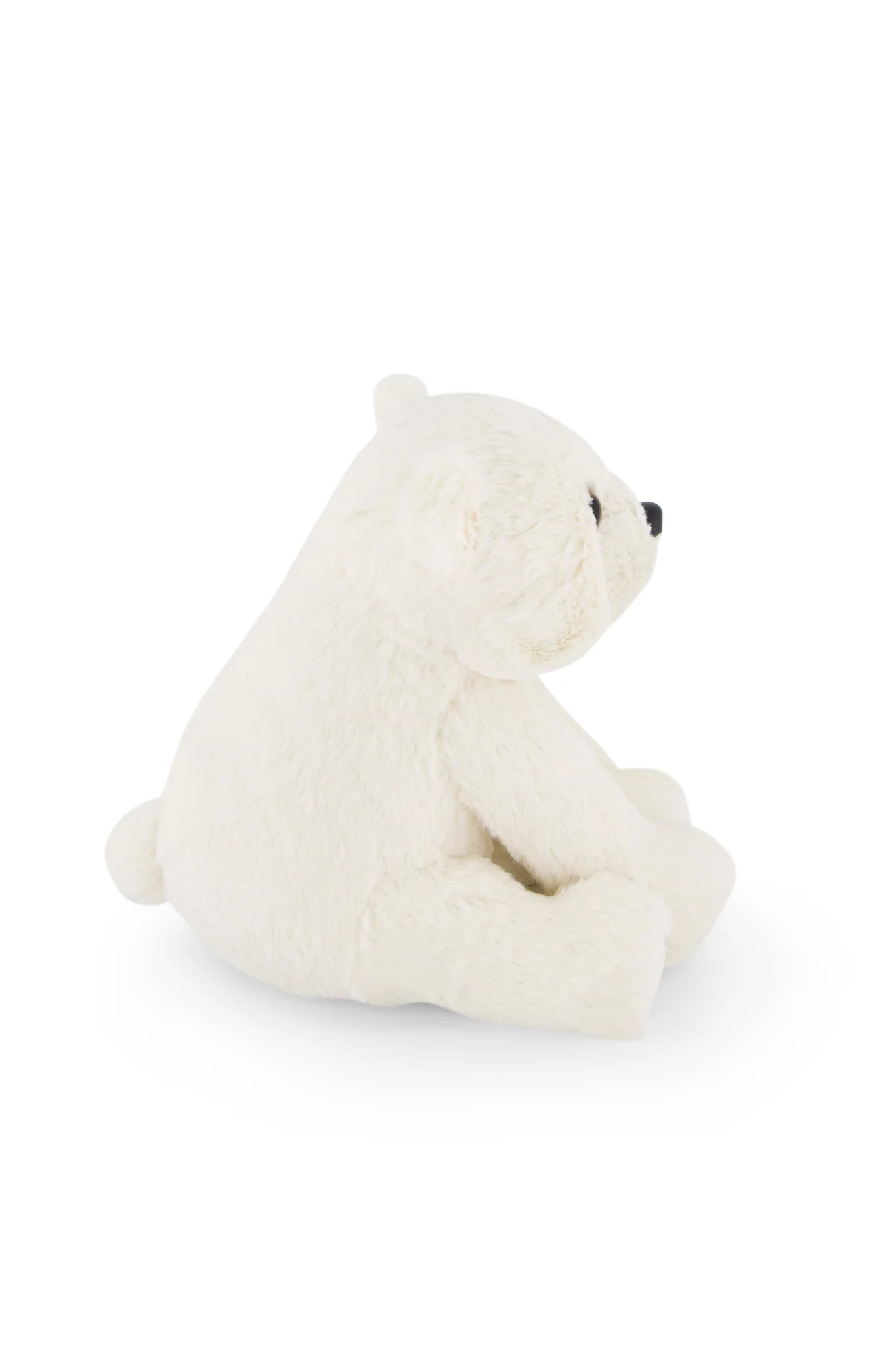 Parker the Polar Bear