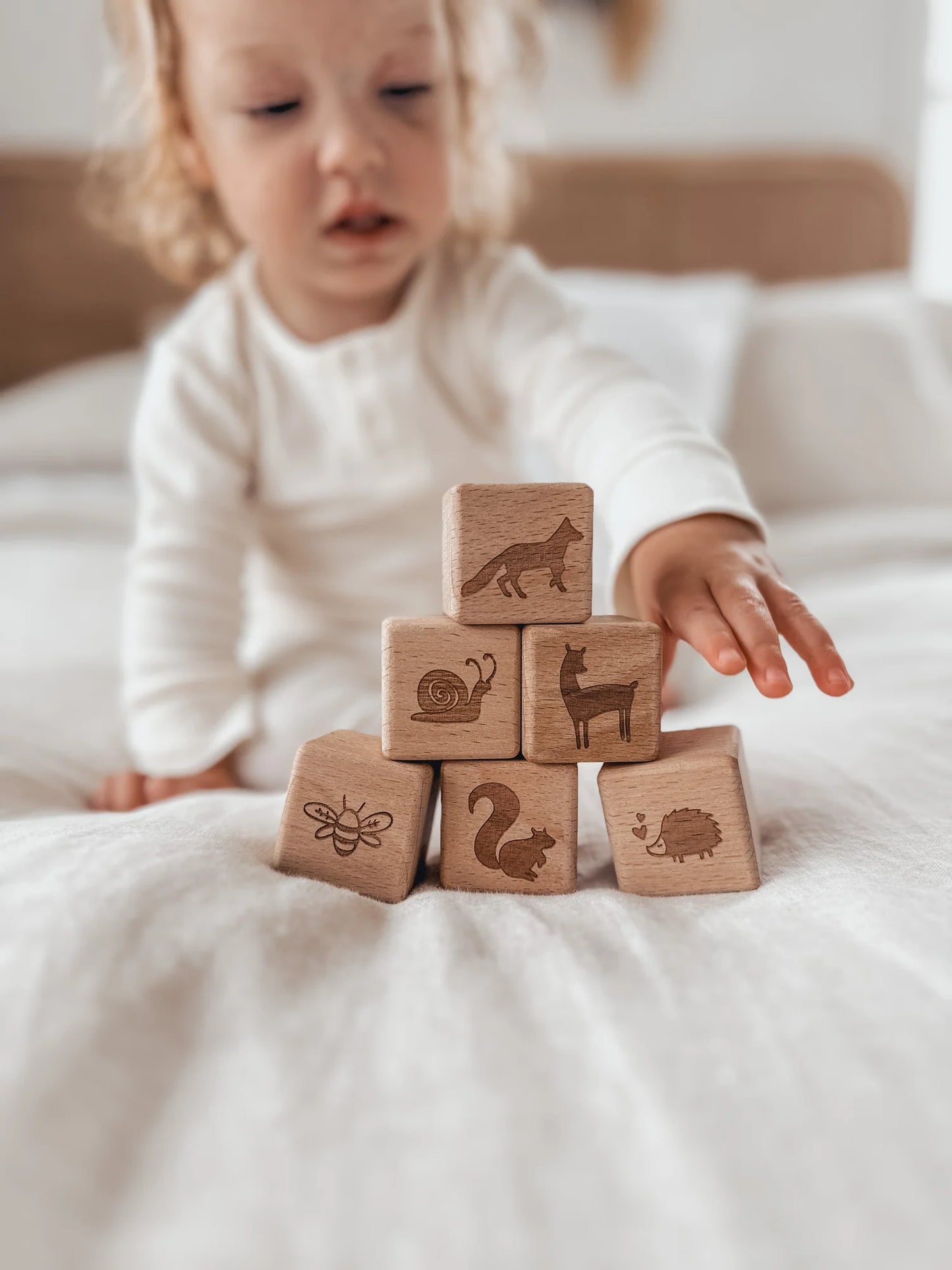 Wooden Block Set - Whimsical Woodlands