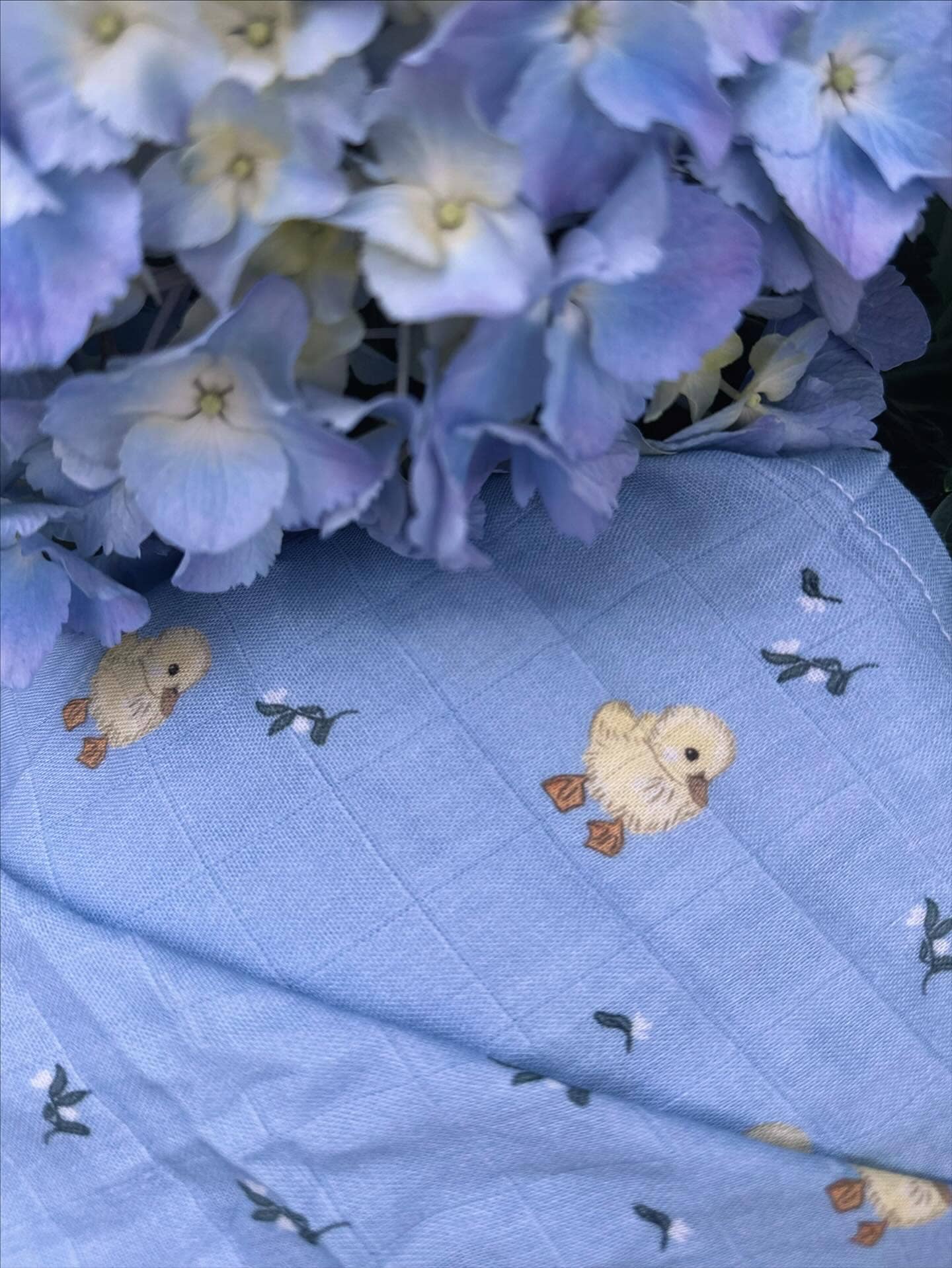 Swaddle - Spring Duckling