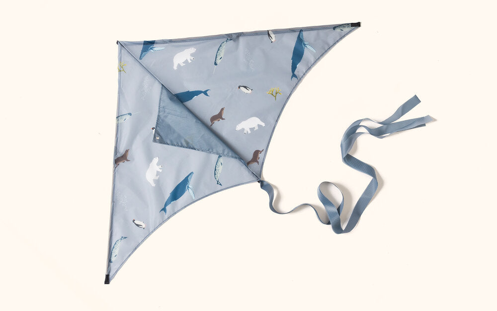Africa Kite, Jungle Kite, Arctic Kite, and Woodland Kite Collection of Decorative Kites
