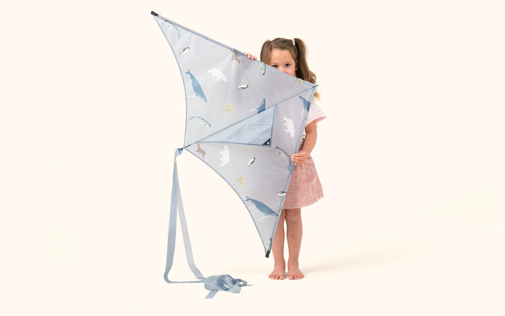Africa Kite, Jungle Kite, Arctic Kite, and Woodland Kite Collection of Decorative Kites