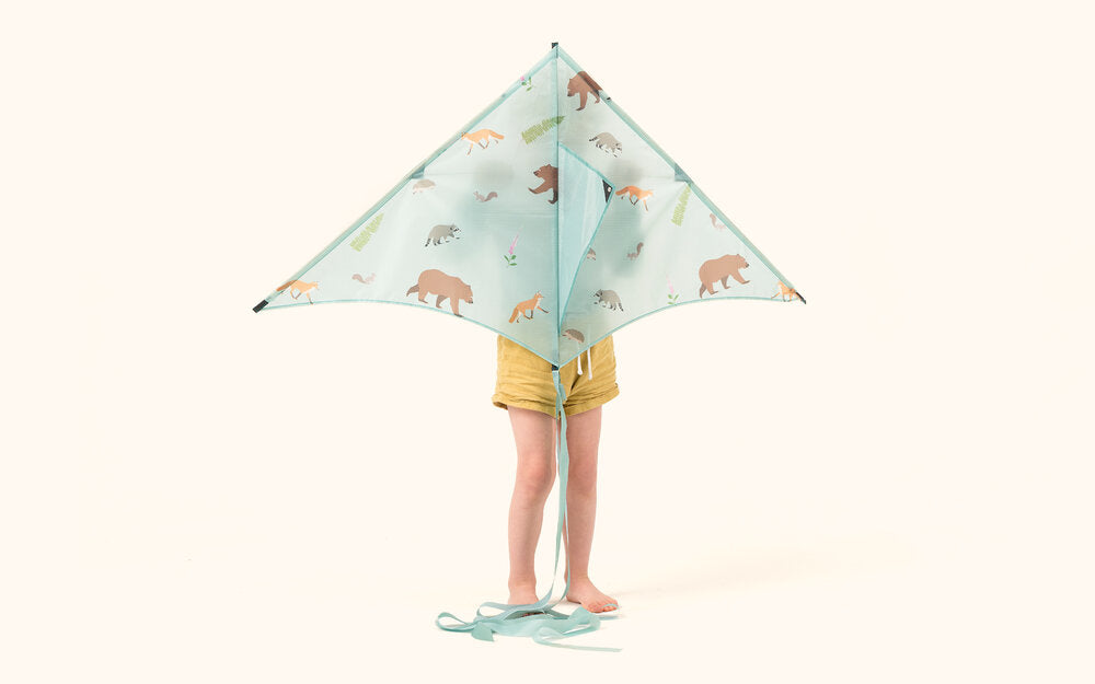 Africa Kite, Jungle Kite, Arctic Kite, and Woodland Kite Collection of Decorative Kites
