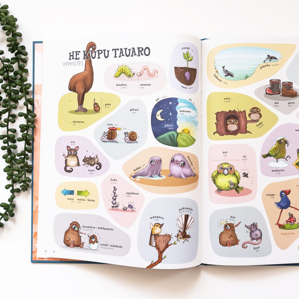 Kuwi & Friends Maori Picture Dictionary.
