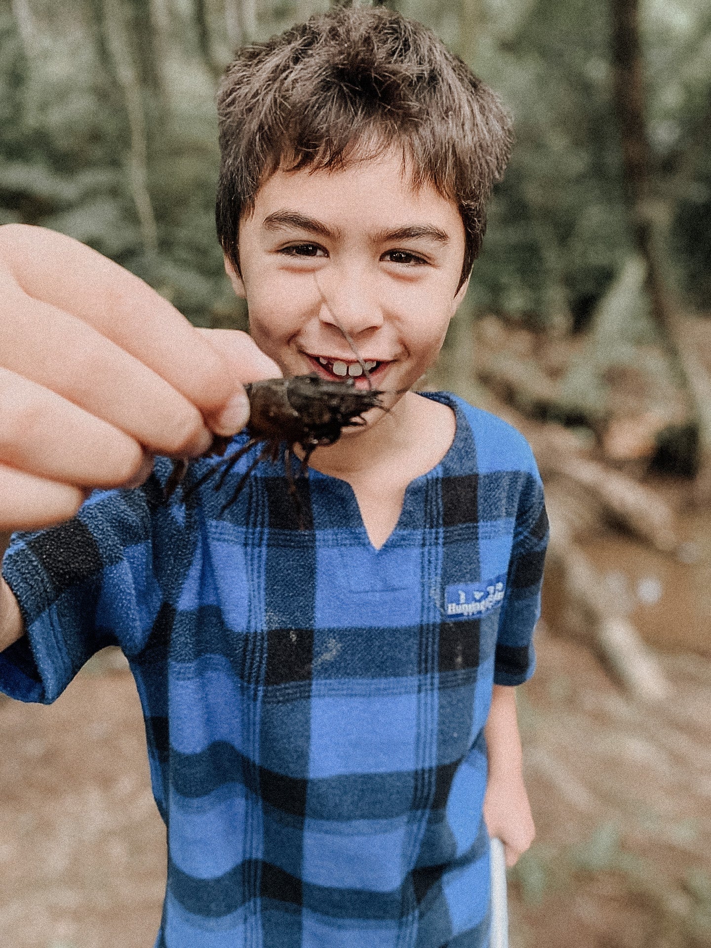 Why We Love Nature School