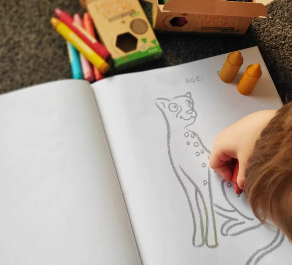 Toddler Colouring Book - Endangered Animals Adventure