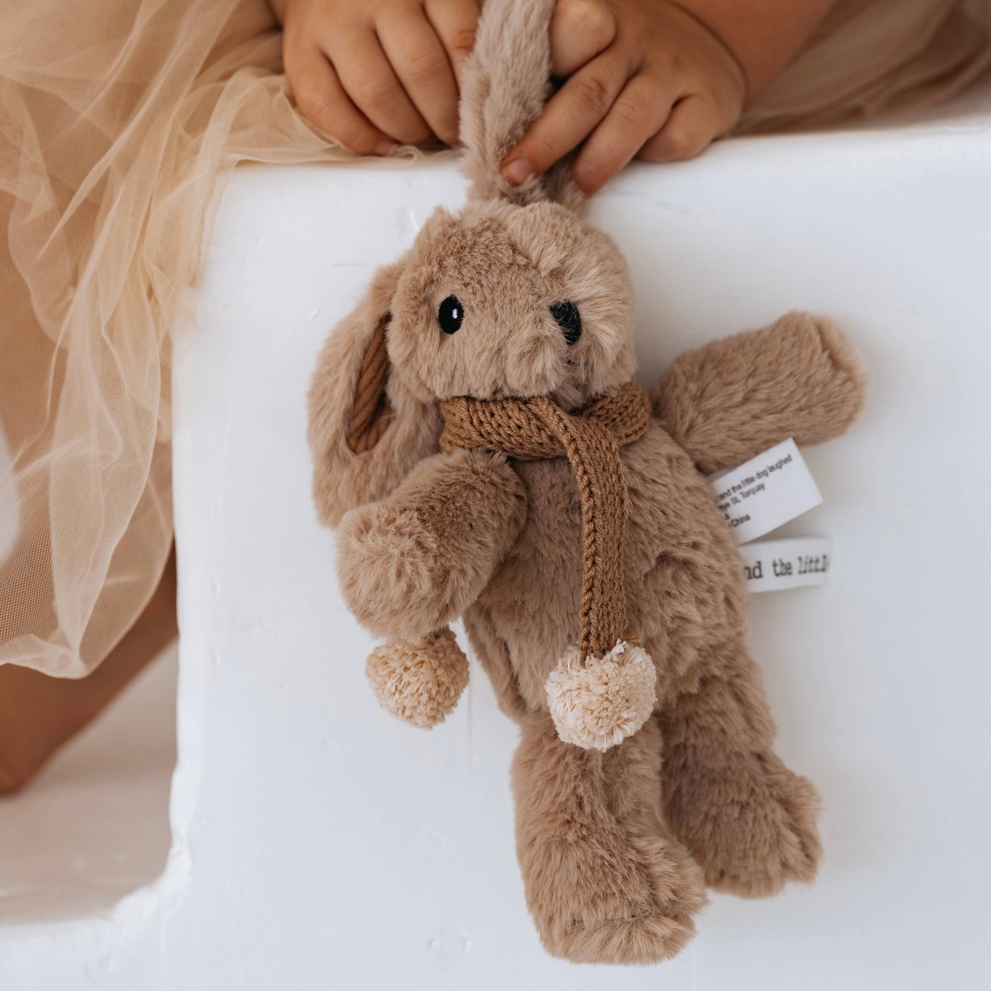 and the little dog laughed | Hugh Rabbit Mini