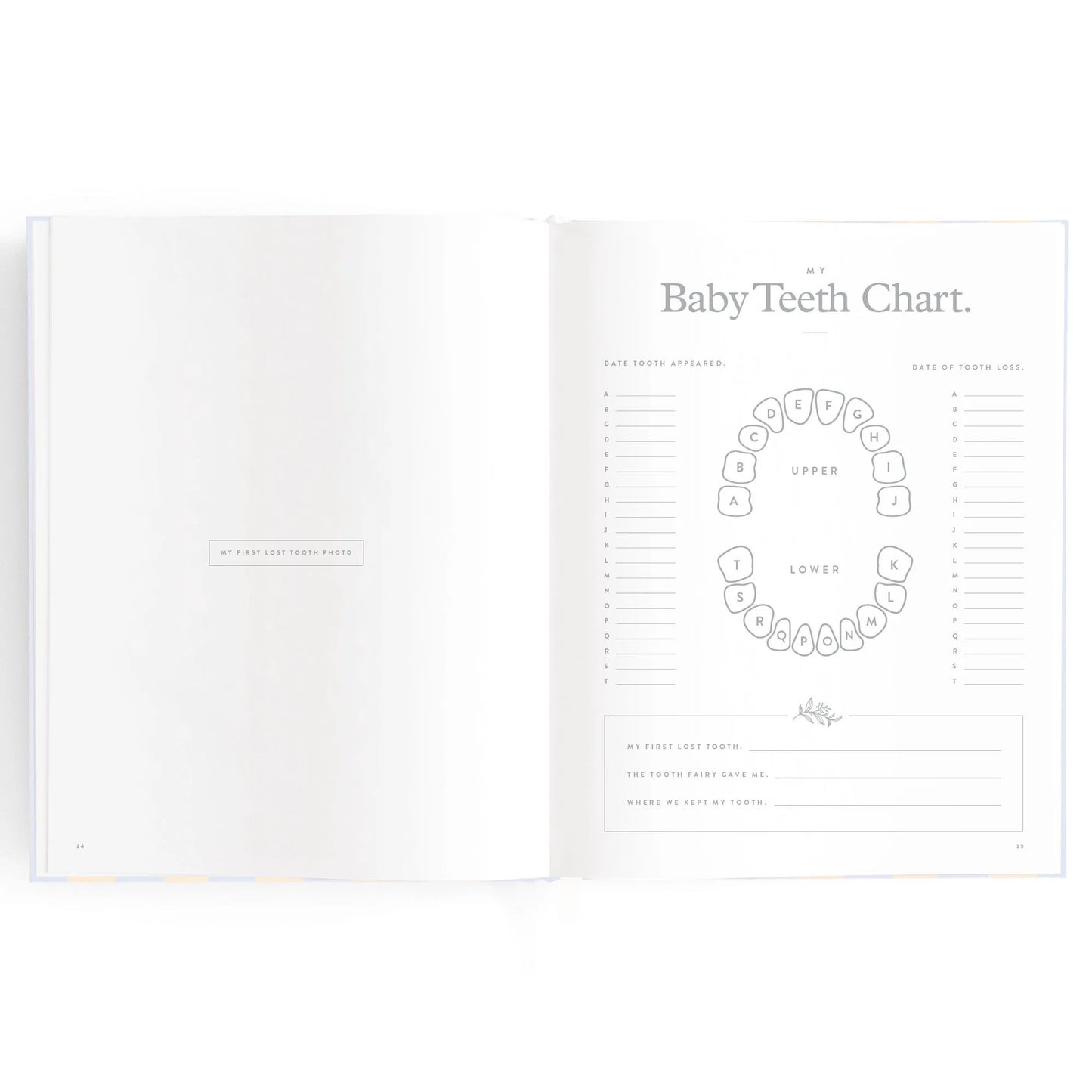 Baby Book - Petal Stripe