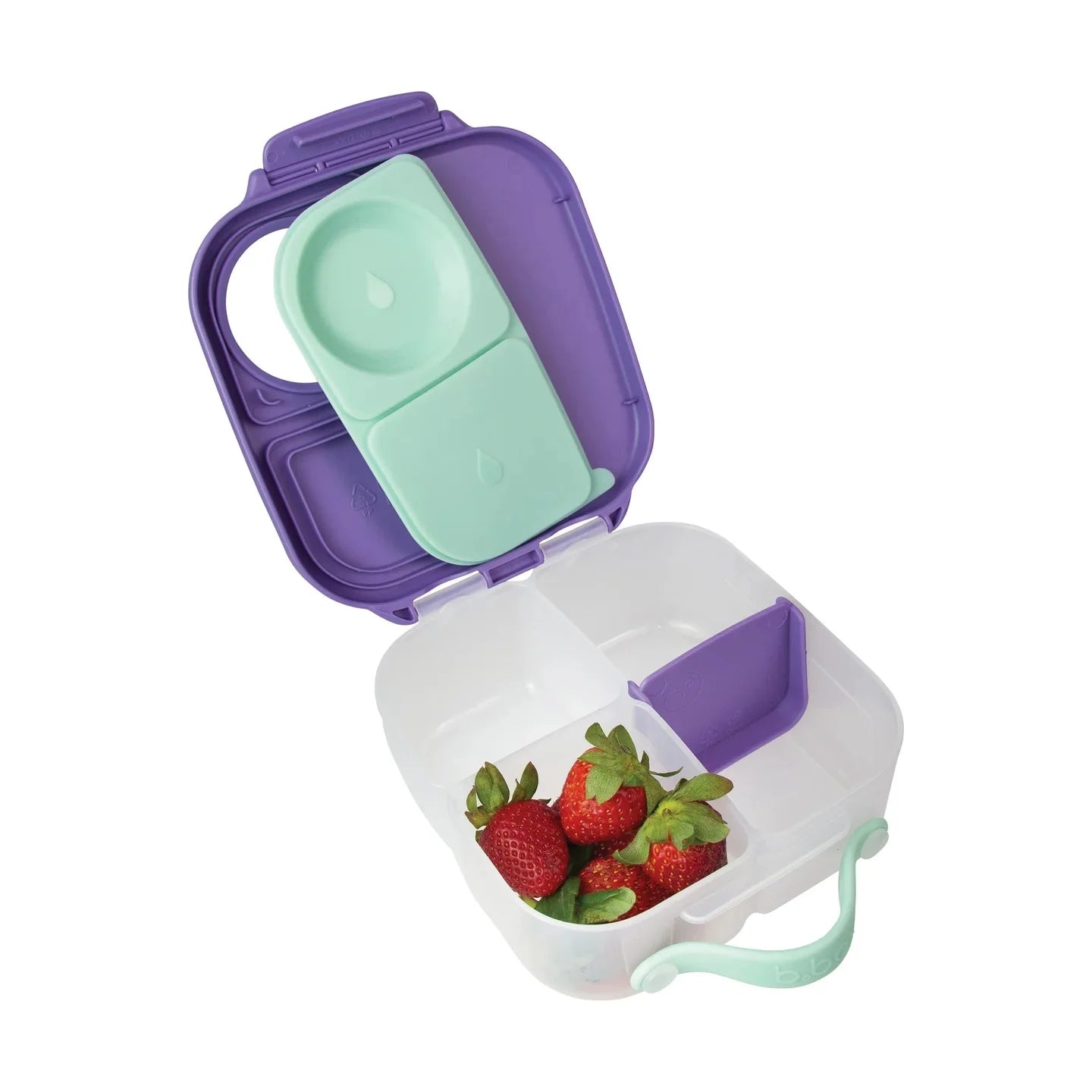 Mini Lunchbox - Lilac Pop