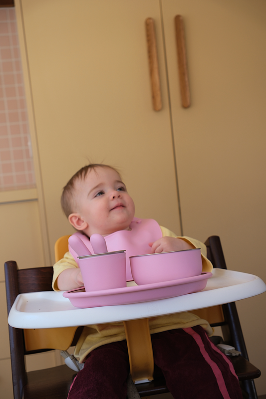 NOMO MINI - First Bites Stainless Steel Dining Set | Flossy