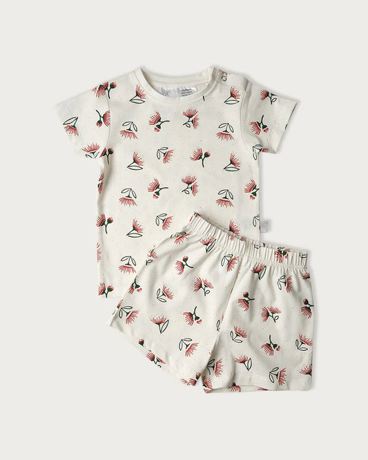 Cotton Short Sleeve Pyjamas - Pohutukawa