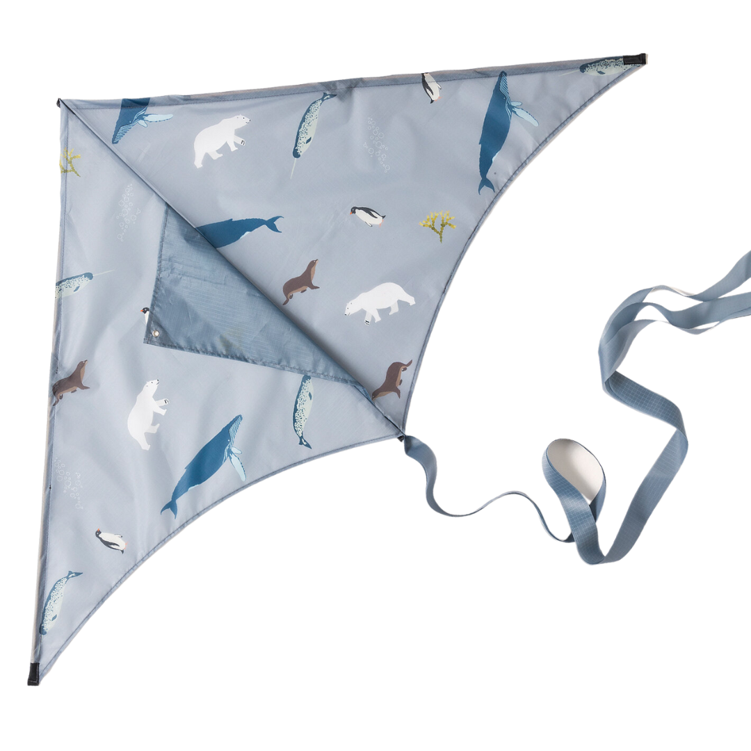 Arctic Kite for Kids by Lofty