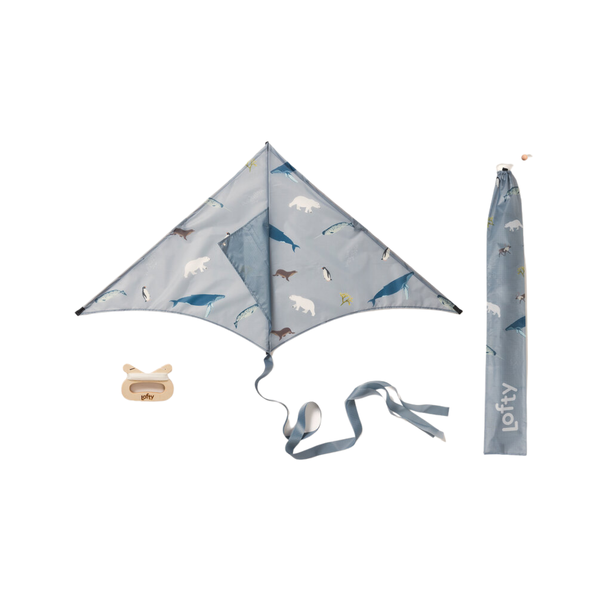 Arctic Kite for Kids by Lofty