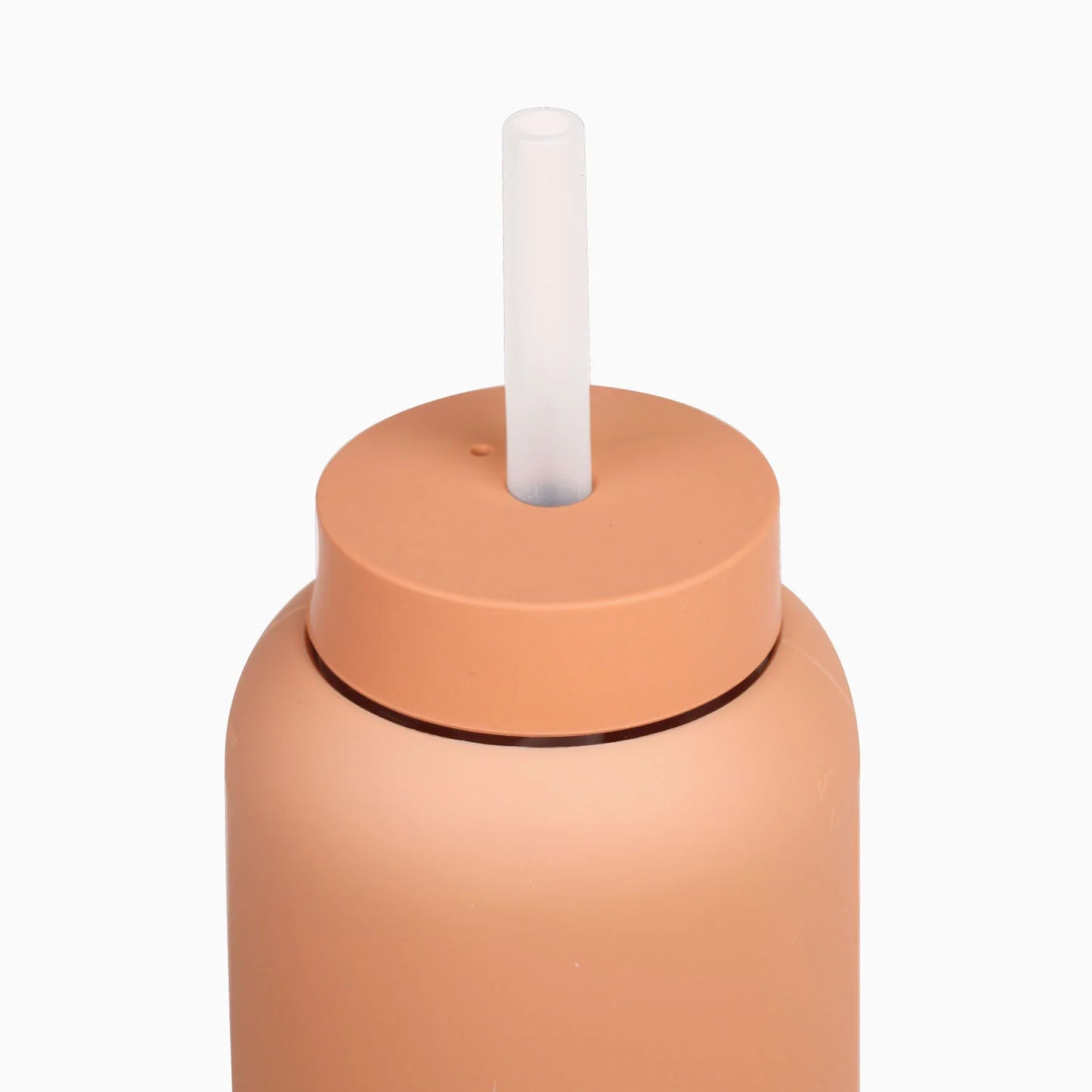 Bink Regular Lounge Straw + Cap